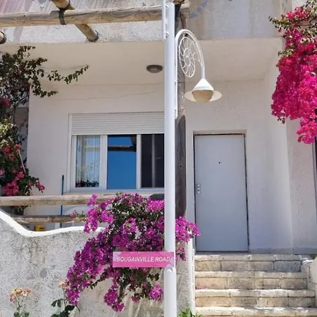 15 Bougainville * Sarandë